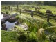 North Tamborine QLD 4272