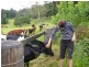 North Tamborine QLD 4272