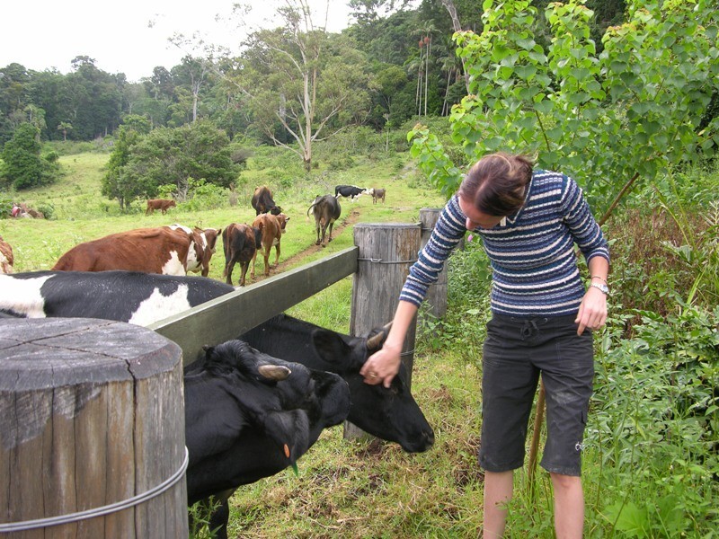North Tamborine QLD 4272