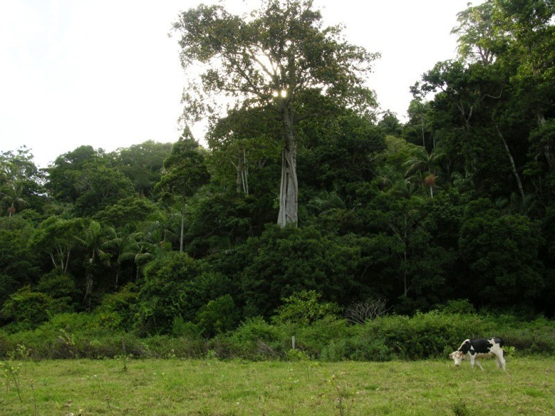 North Tamborine QLD 4272