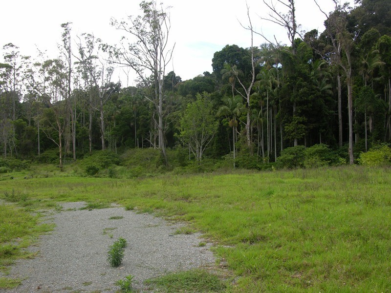 North Tamborine QLD 4272