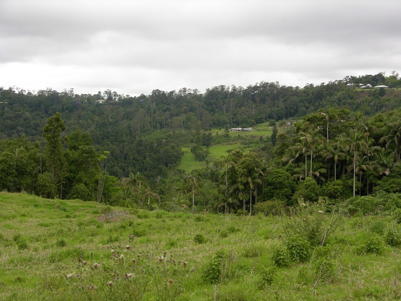 North Tamborine QLD 4272