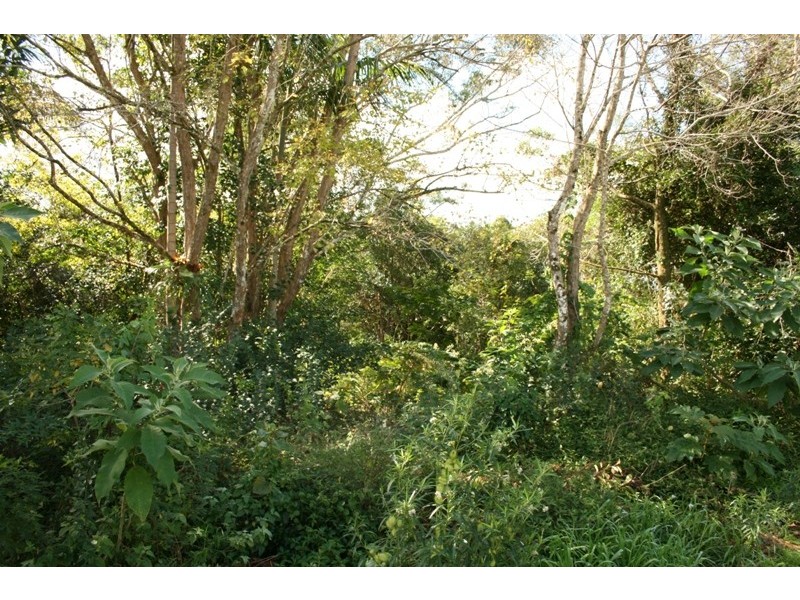 Eagle Heights QLD 4271