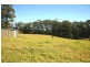 Tamborine Mountain QLD 4272