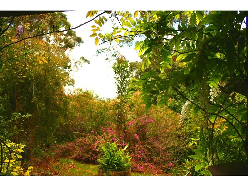 North Tamborine QLD 4272