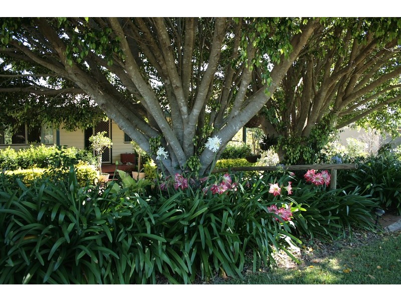 43 Magnetic Drive, Eagle Heights QLD 4271