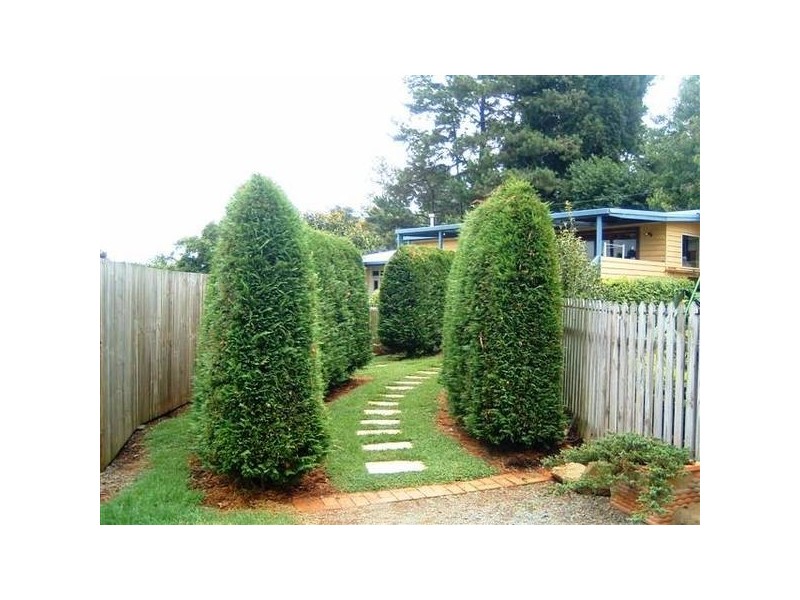 North Tamborine QLD 4272