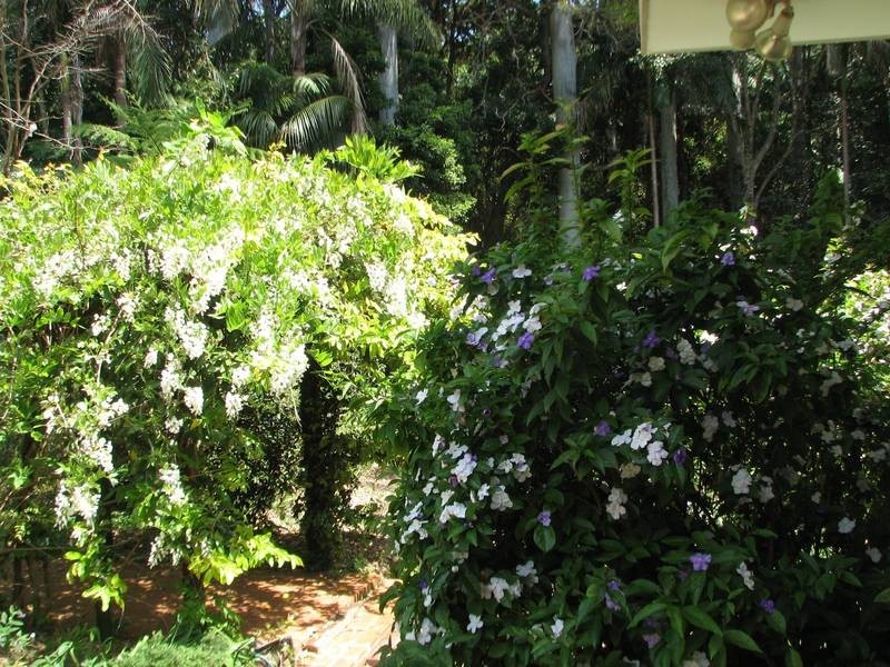 North Tamborine QLD 4272