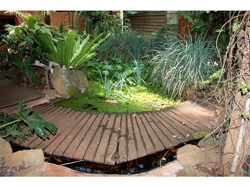 North Tamborine QLD 4272