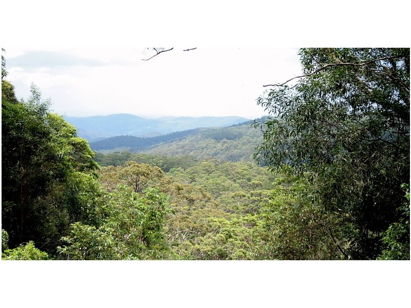 North Tamborine QLD 4272