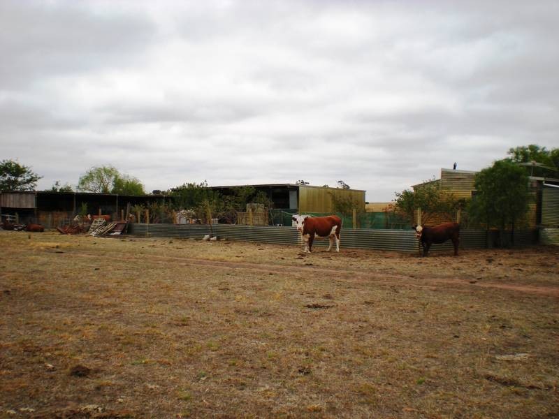 177 Riddles Road, Bannockburn VIC 3331