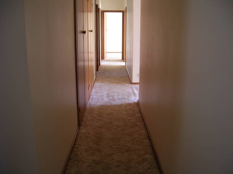 5 Remony Avenue, Highton VIC 3216