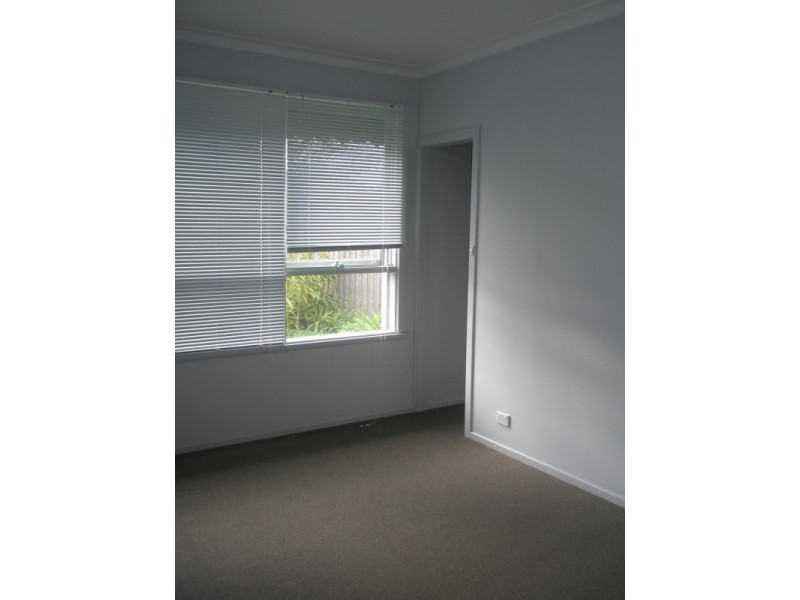 17 Roebuck Street, Newtown VIC 3220