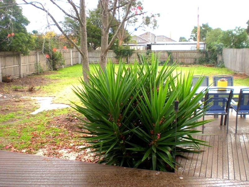 21 Karoomba Ave, Herne Hill VIC 3218