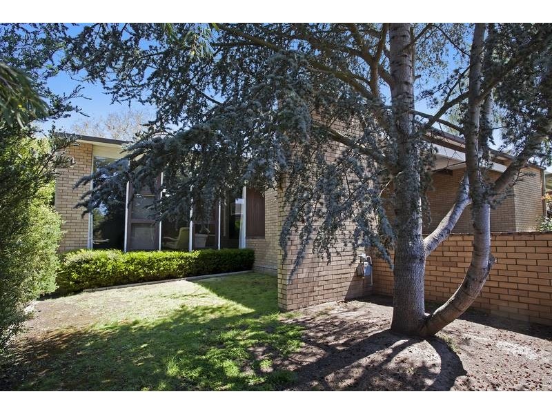 8 Mont Street, Newtown VIC 3220