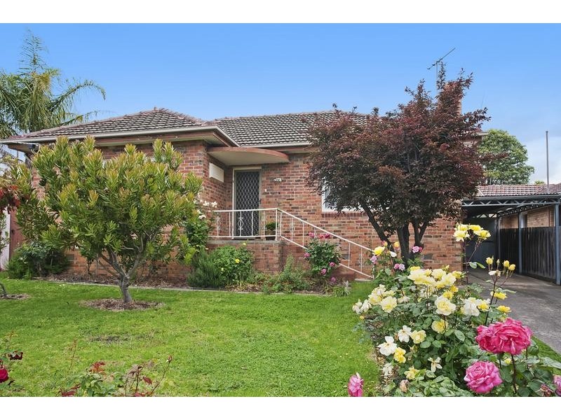 10 Frank Street, Belmont VIC 3216