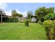 116 West Fyans Street, Newtown VIC 3220