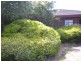 125 Solar Drive, Whittington VIC 3219