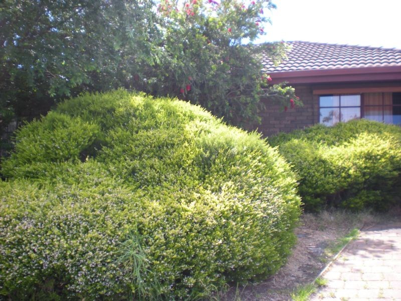 125 Solar Drive, Whittington VIC 3219