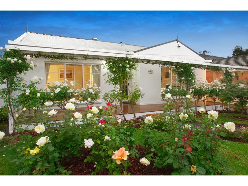 12 Chester Street, Newtown VIC 3220