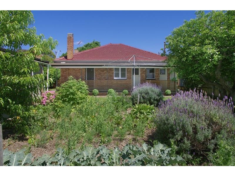 33 Vines Road, Hamlyn Heights VIC 3215