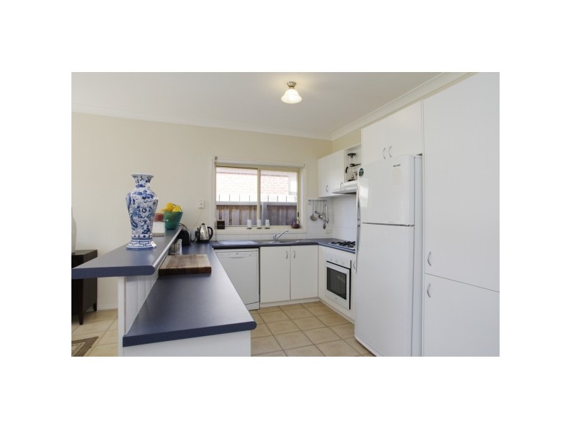 81 McCurdy Rd, Newtown VIC 3220