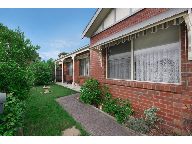 53 Shackleton Street, Belmont VIC 3216