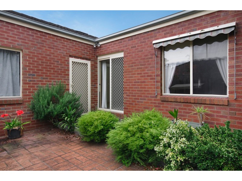 53 Shackleton Street, Belmont VIC 3216