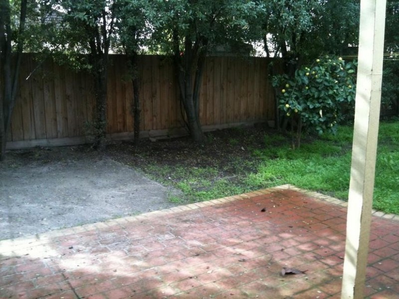 12 Saffron Street, Newtown VIC 3220