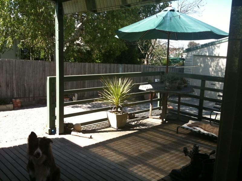 55 Percy Street, Newtown VIC 3220