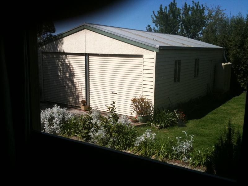 55 Percy Street, Newtown VIC 3220