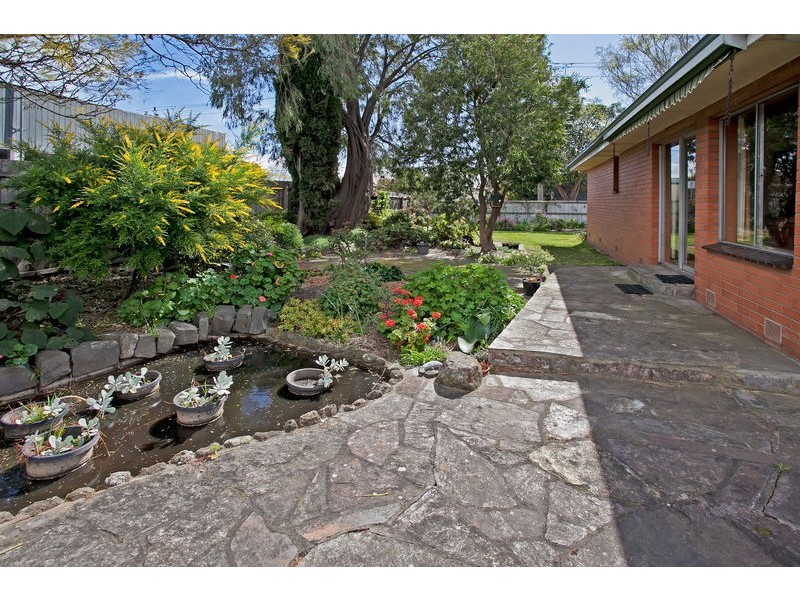 11 West Fyans Street, Newtown VIC 3220