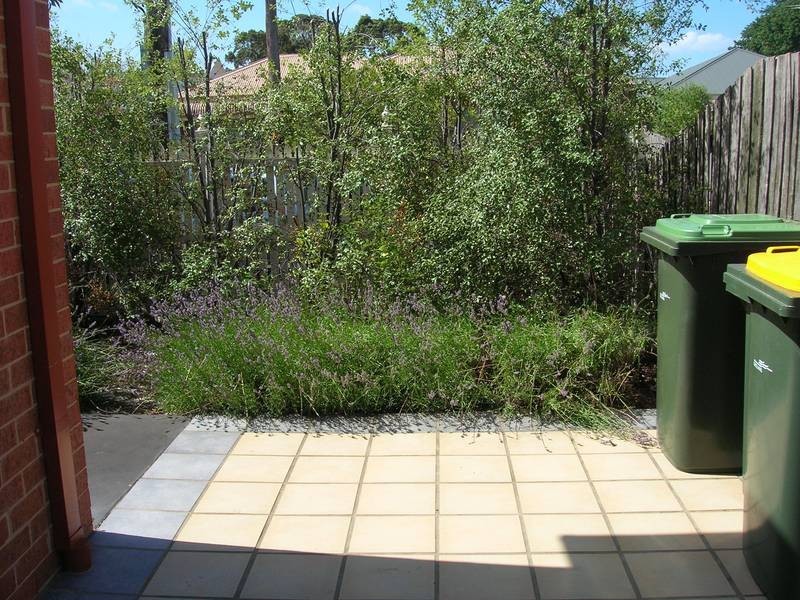 1/73 Marshall Street, Newtown VIC 3220