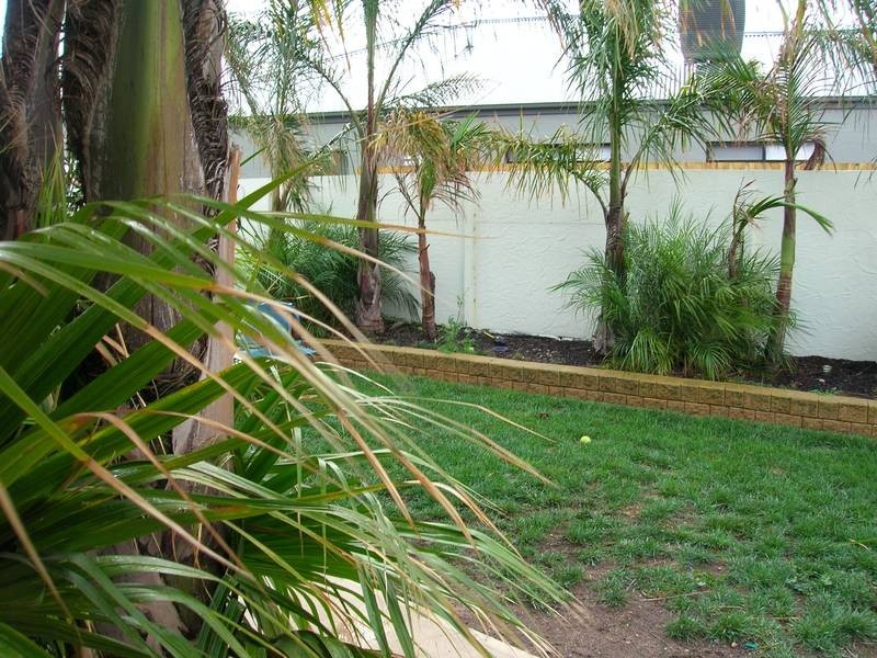 58 Wilks Street, Hamlyn Heights VIC 3215