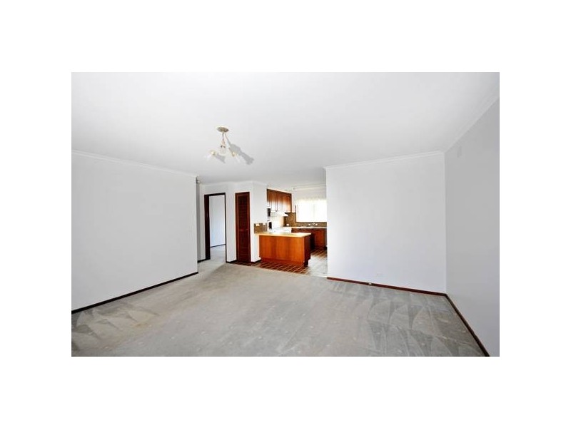 Marshall Street, Newtown VIC 3220