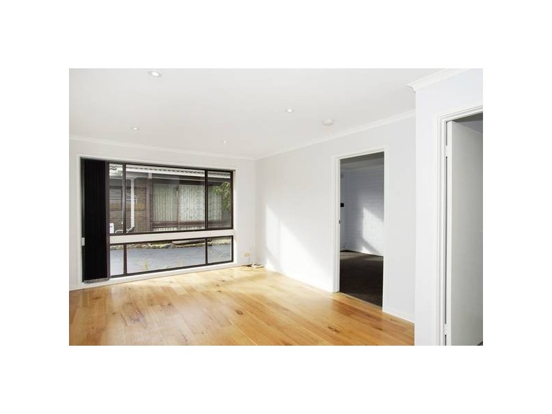 Clarendon Street, Newtown VIC 3220