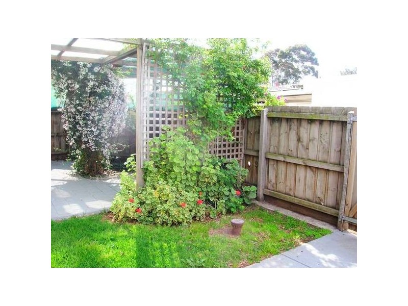 3/44 Marshall Street, Newtown VIC 3220