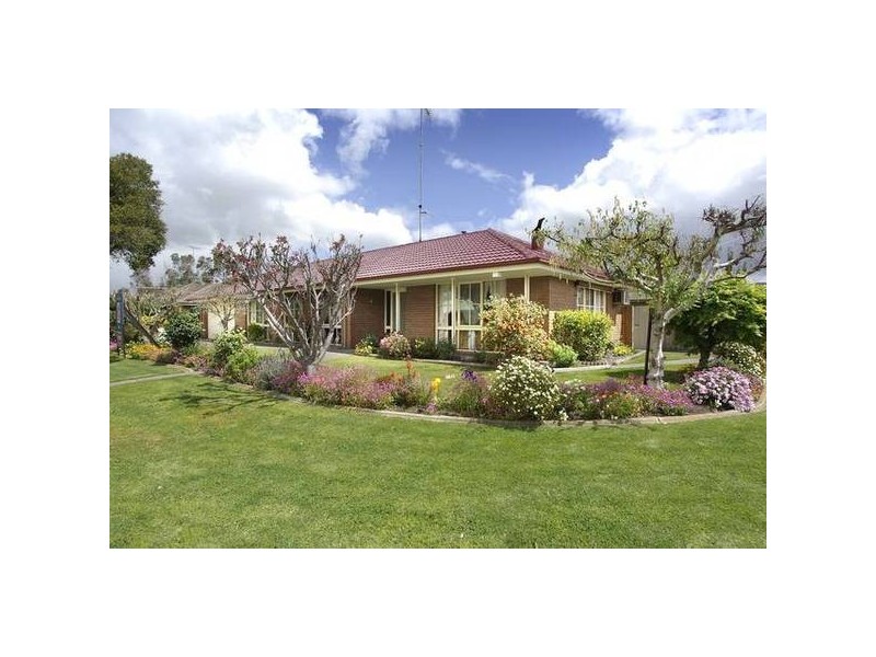 27 Sandringham Parade, Newtown VIC 3220