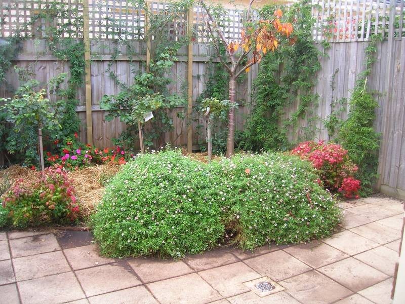 44 Sherbourne Terrace, Newtown VIC 3220