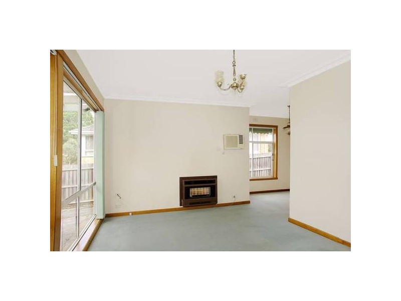 20 Cambra Road, Belmont VIC 3216