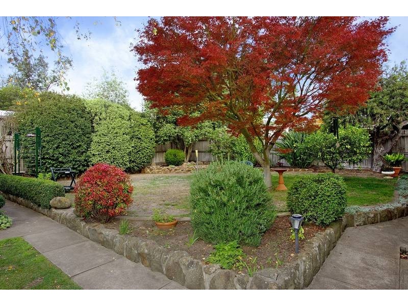 3 Brocka Avenue, Belmont VIC 3216