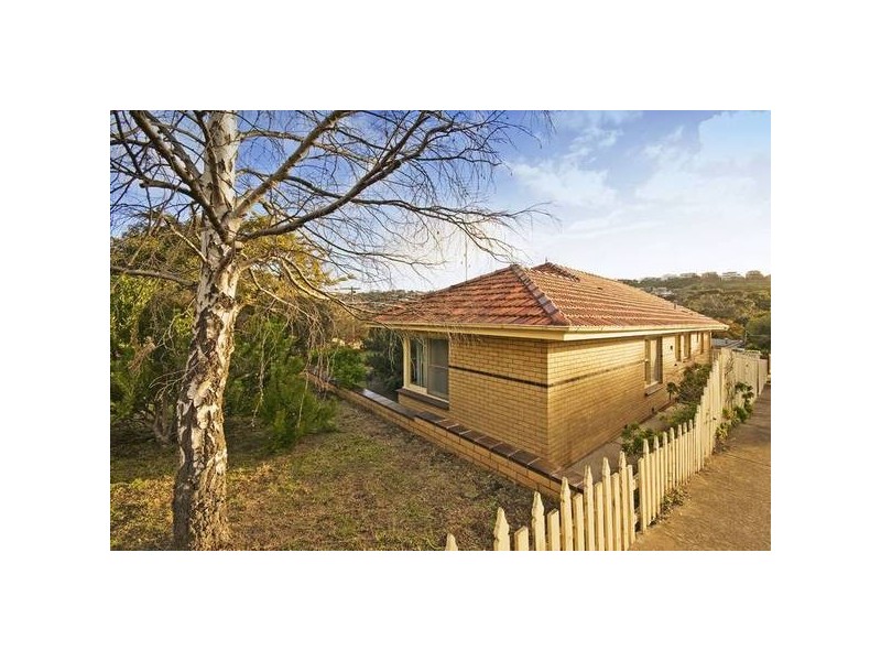 12 Ardlui Drive, Newtown VIC 3220