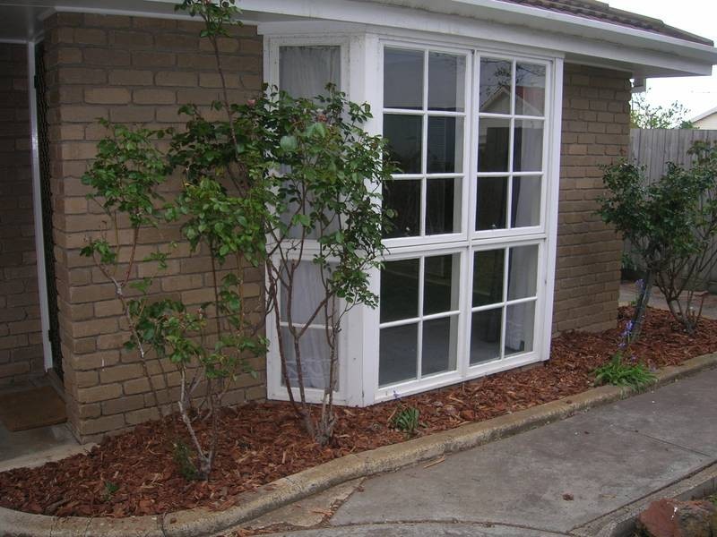 5/154 Skene St, Newtown VIC 3220