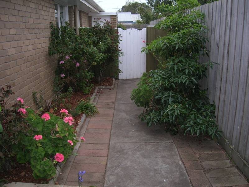 5/154 Skene St, Newtown VIC 3220