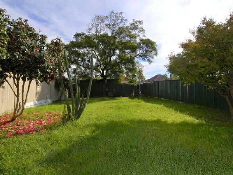 41 Shackel Avenue, Kingsgrove NSW 2208