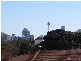 Pine Street, Randwick NSW 2031