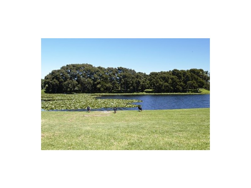 1/22 Alison Road, Randwick NSW 2031