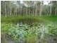 Cooroibah QLD 4565