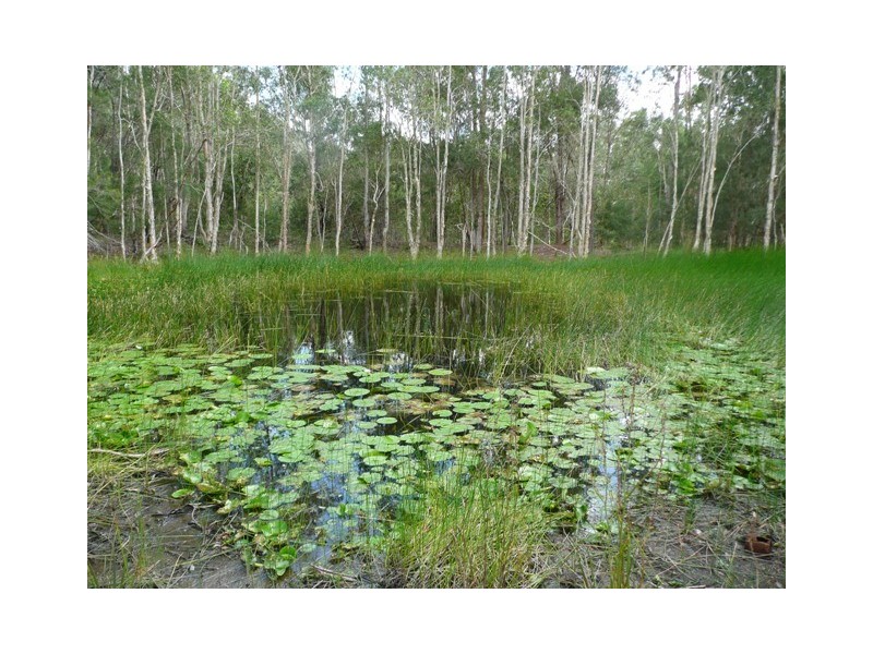 Cooroibah QLD 4565
