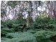 Cootharaba QLD 4565